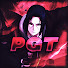 W5EEn18Vtz4-channel-avatar-Pegasis GT