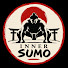 HCt_9_1O0wQ-channel-avatar-Inner -Sumo-