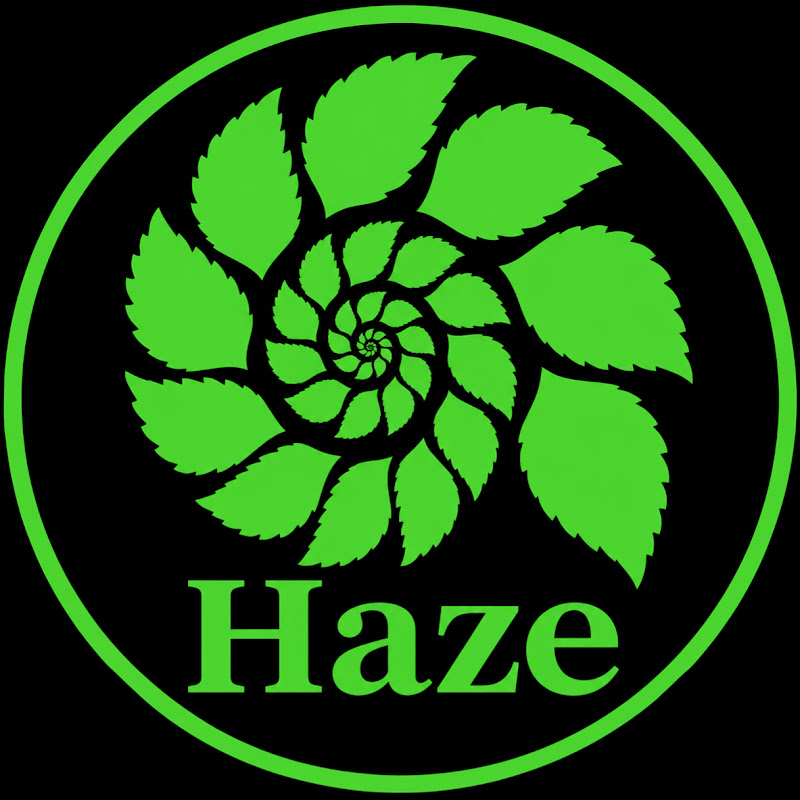 Haze Outdoors