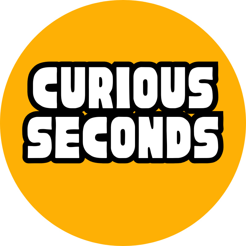 curious seconds