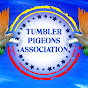 Tumbler Pigeons association of karnataka logo