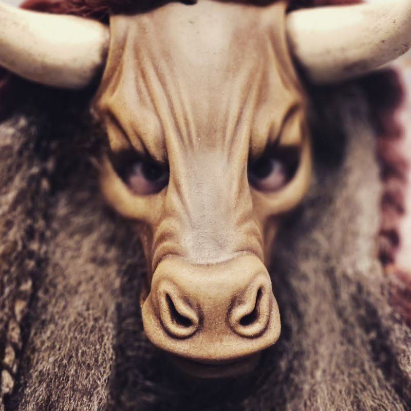 Photo ASMinotauR
