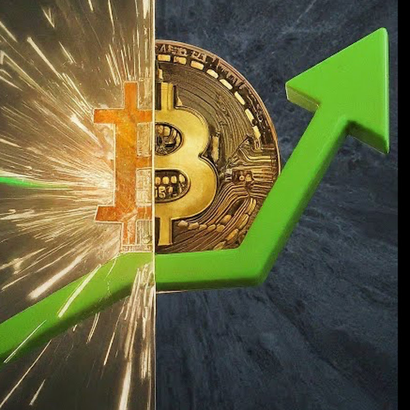 Investment Vitals