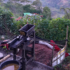 Village life in Timor-Lesteアイコン画像