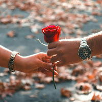 Profile Picture of Stats.  Star