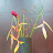 @자성광-i6e