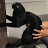 @Mushok-h6n