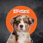 Petland Carmel logo
