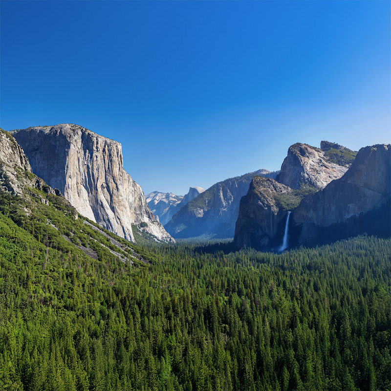 Naturescapes: Relax with Nature