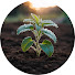 _jLAhjBl4CQ-channel-avatar-Giardino delle Erbe Curative