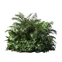 Jungle File