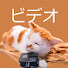 pH7Y1LCTL9w-channel-avatar-アサカワズのビデオ