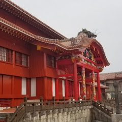 南の島の画像