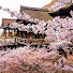 6jwzhCJWuE0-channel-avatar-Travel Japan Idea