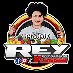 Rey Vlogger