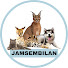 vWC5f0Kv8TU-channel-avatar-Jamsembilan