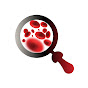 Cellular Insight Solutions logo