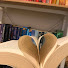 3D3yB8AmSg0-channel-avatar-thebookbatcave