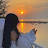 @MahaSassi-t4k