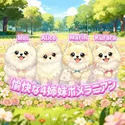 愉快な4姉妹ポメラニアンちゃんねる