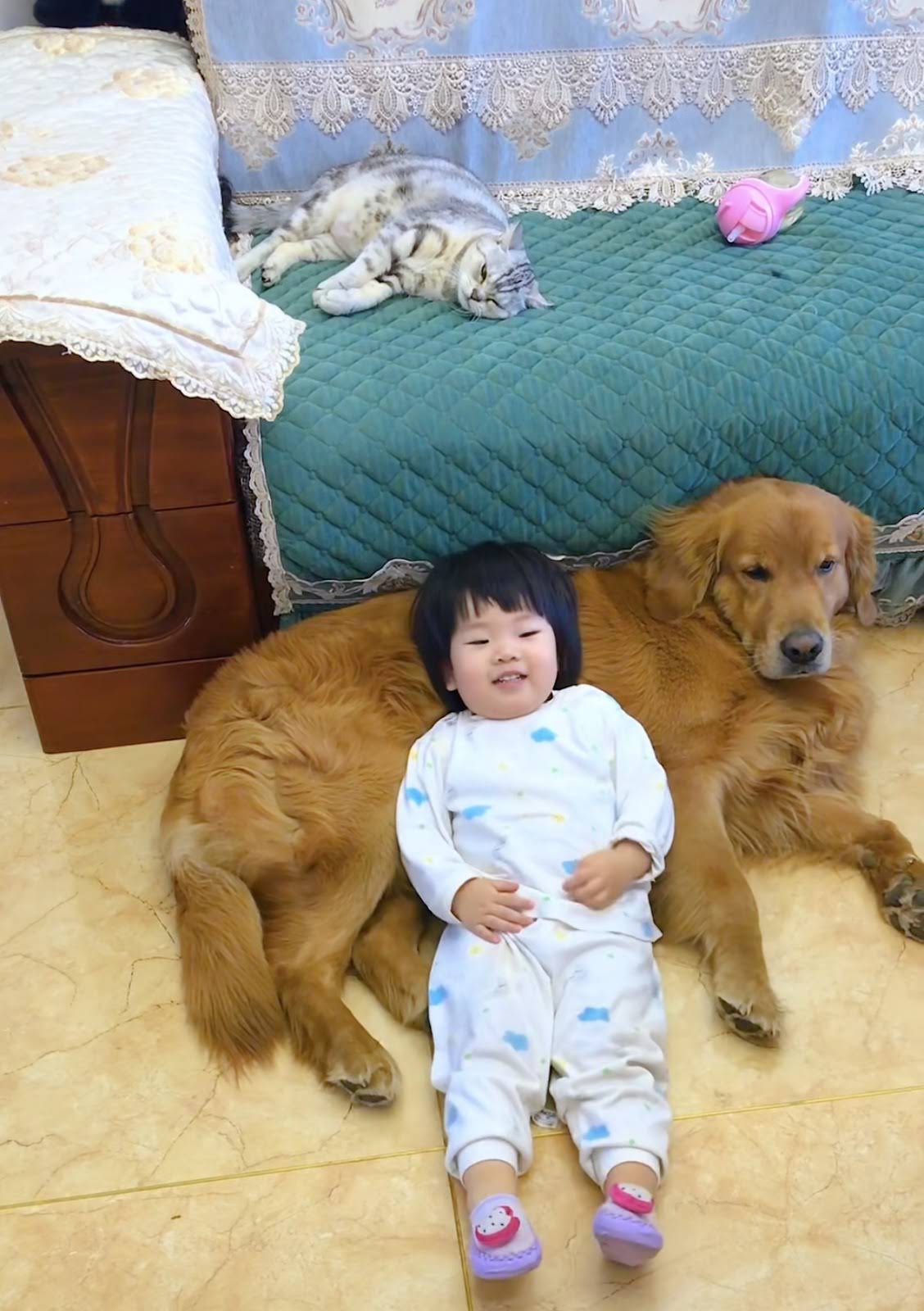 Post from 猫の団子 - YouTube