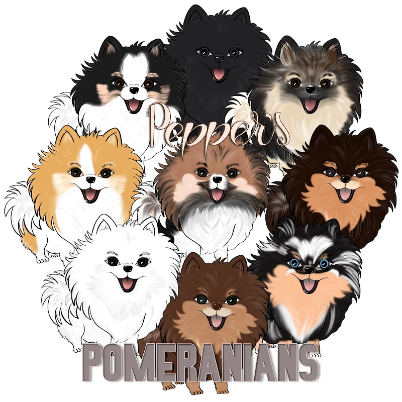 Pepper's Pomeranians