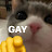 @notreallyafamousartist695