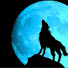 Zhp02s5RPAg-channel-avatar-WolfGrrrr