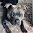 @Franknbeeenz Avatar