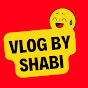 Vlog by Shabi logo