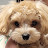 @마로-f6g