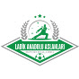 Ladik Anadolu Aslanları Spor Kulübü logo