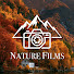 u339PDtvAeM-channel-avatar-Relaxation Nature Films and 8K Serenity Horizon