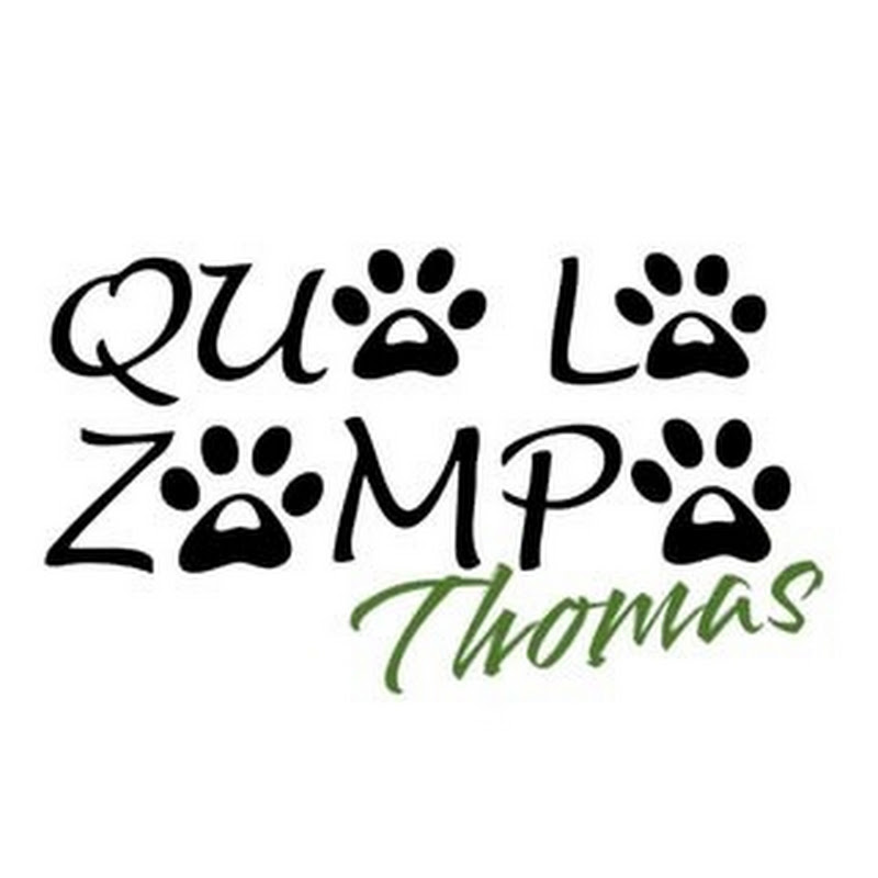Qua La Zampa Thomas