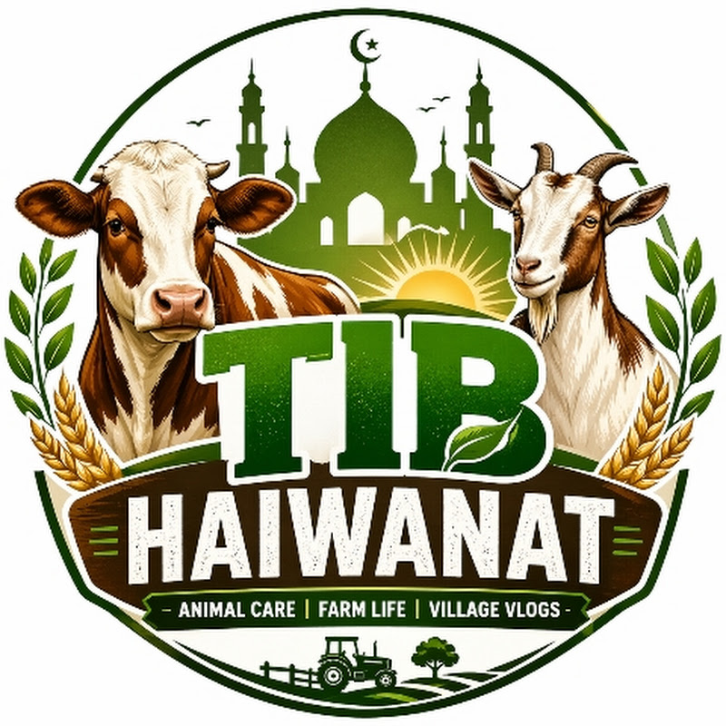TIB HAIWANAT OFFICIAL