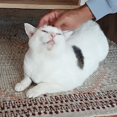 HOLA SOY BELLA