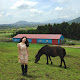 윤 제주삶 Yoon Jeju Life