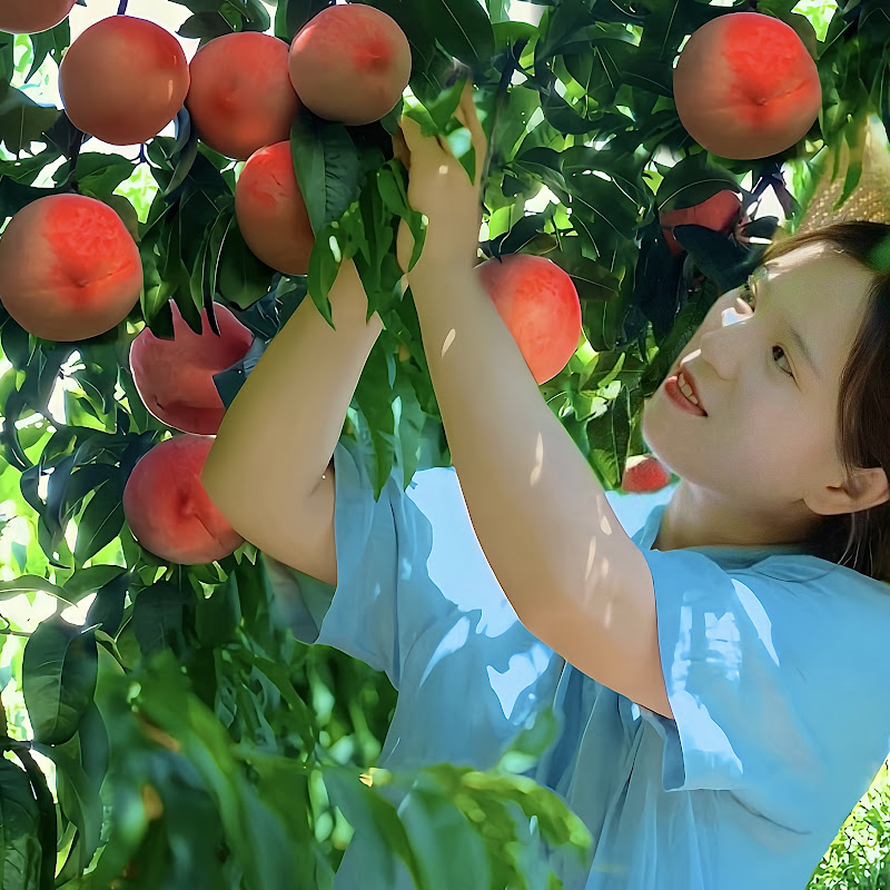 Minh Ngoc Daily Life
