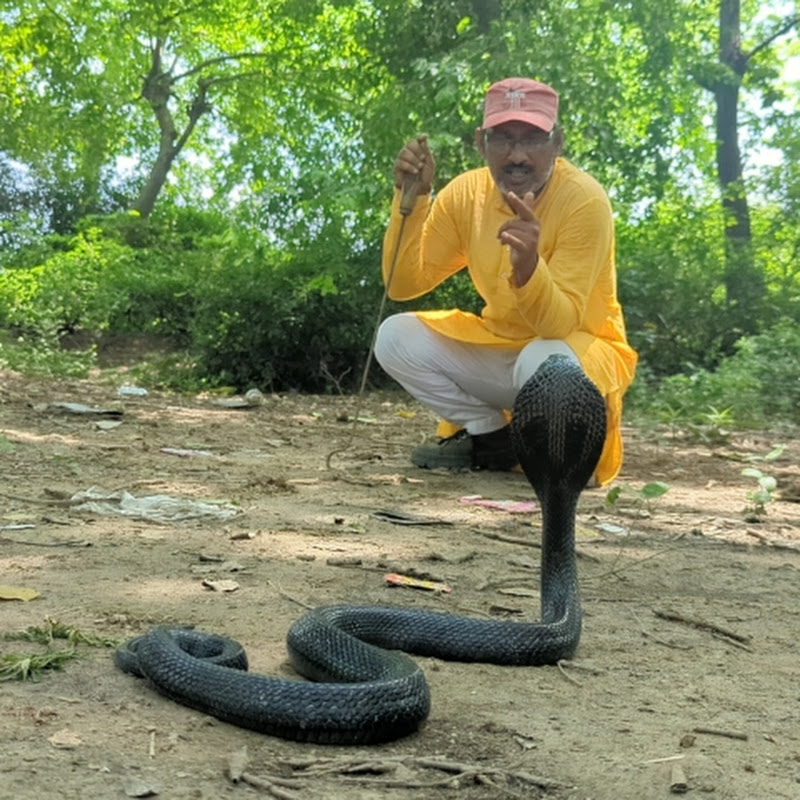 Praveen Panchal Sarpmitra