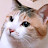@대롱대롱777