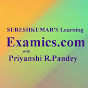 Examics logo