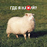 WmALWTb8lFk-channel-avatar-Ян Фихтер