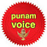 JVY00I9RnAY-channel-avatar-punam voice