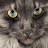 @DMill-c1h Avatar