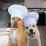 hsSh0rYULrs-channel-avatar-Homemade Treat Kitchen