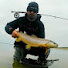 LE5l7U7wIMg-channel-avatar-FishingOrkney