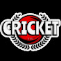 Cricket 4 Us 2.0 logo