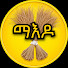 ld9JncGS0HA-channel-avatar-MAEDO ማእዶ