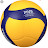 volleyball_shimoga