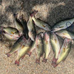 1KountryBoyFishing